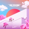 Bloom (Brendan Mills Remix) - Single, 2024