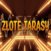 Złote Tarasy artwork