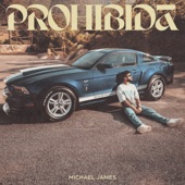 Prohibida artwork