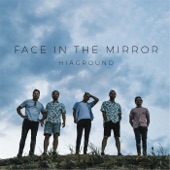 Face in the Mirror artwork