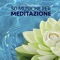Un Segreto (Musica Ambientale) - Pura Meditazione Zen lyrics