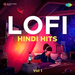 Lofi Hindi Hits, Vol. 1 by Various Artists album reviews, ratings, credits