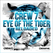 Eye of the Tiger (Future House Edit) artwork