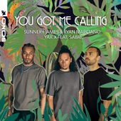 You Got Me Calling (feat. SABRI) artwork