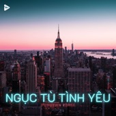 Ngục Tù Tình Yêu ft Fiction (Remix) artwork