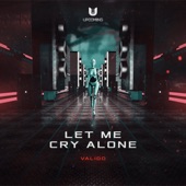 Let Me Cry Alone artwork