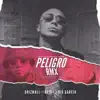 Peligro (Remix) [feat. Nio García & Ñejo] - Single album lyrics, reviews, download