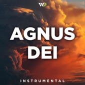 Agnus Dei (Instrumental) artwork