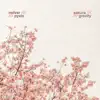 Stream & download Sakura / Gravity - Single