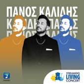 Ta Katafera (Steaming Living Concert) artwork