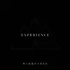 Experience - Single album lyrics, reviews, download