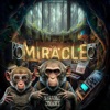 Miracle - Single