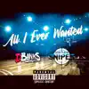 All I Ever Wanted (feat. Jordan Snipes) - Single album lyrics, reviews, download