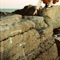 For a Time - Anna Mieke lyrics