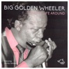 Big Golden Wheeler - Turn My Life Around, 2016