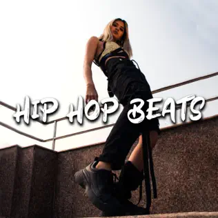 ladda ner album Various - Hip Hop Beats Vol 2