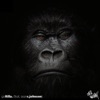 Gorilla. (feat. Sean C Johnson) - Single