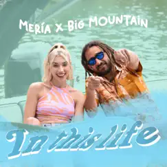 In This Life - Single by Mería & Big Mountain album reviews, ratings, credits
