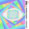 Karen Harding - True (VIP)