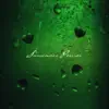 Surrender Perrier - Single album lyrics, reviews, download