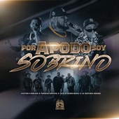Por Apodo Soy Sobrino (feat. La Decima Banda) [En Vivo] artwork