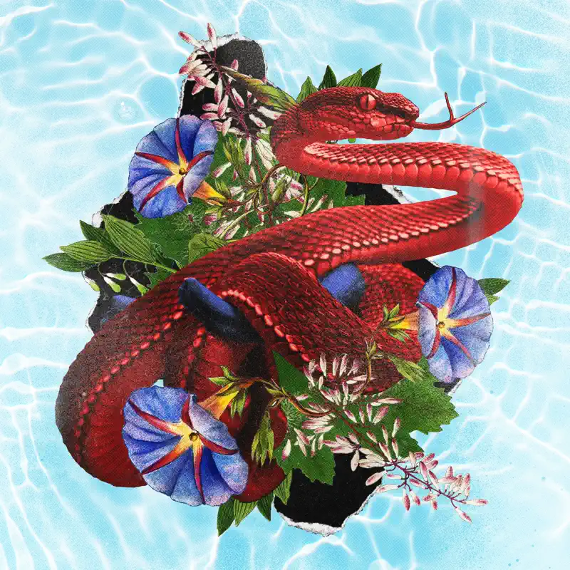 HYBS, slchld & asiatic.wav - Good Care - Single (2023) [iTunes Plus AAC M4A]-新房子