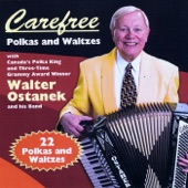 Carefree Polkas and Waltzes artwork