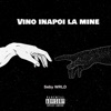 Vino Inapoi La Mine - Single