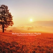 Mellow Classical Music Playlist:14 Relaxing and Smooth Classical Pieces artwork