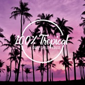 100% Tropical Deep Chill House artwork