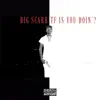 Stream & download TF Is You Doin? (feat. Big Scarr) - Single