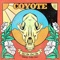 Coyote (feat. Joshua James) - Can't Stop Won't Stop lyrics
