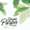 Daun Puspa - Single