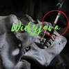 Saat Ini - Single