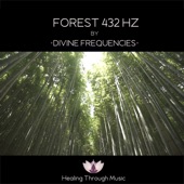 Forest 432 Hz artwork