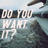 Do You Want It? - Single
