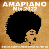 Amapiano Mix 2022 (The Best South Africa's Afro Soul, Amapiano, South African House, Pop and Beats) - Multi-interprètes