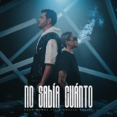 No Sabía Cuánto artwork