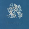 Summer Scaries - Single