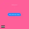 Stream & download why are you here - Single