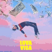 VISA artwork