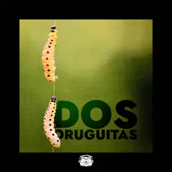 Dos Oruguitas (Cover Version) Song Lyrics