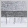 Stream & download Blizzard Storm Sounds, Relaxing Winter Background, Heavy Wind and Snow Sounds