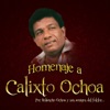 Homenaje a Calixto Ochoa (La Leyenda) [Por Rolando Ochoa y sus amigos del folclor], 2015