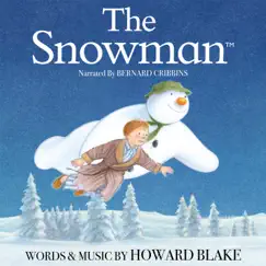 Walking in the Air (The Story of the Snowman edit) Song Lyrics
