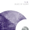 Blaze of Glory - Single