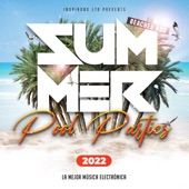 Beaches & Summer Pool Parties 2022 artwork