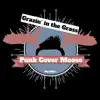 Grazin' in the Grass - Single album lyrics, reviews, download
