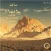 A Perfect Day - Single