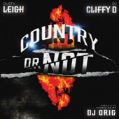 Country or Not artwork